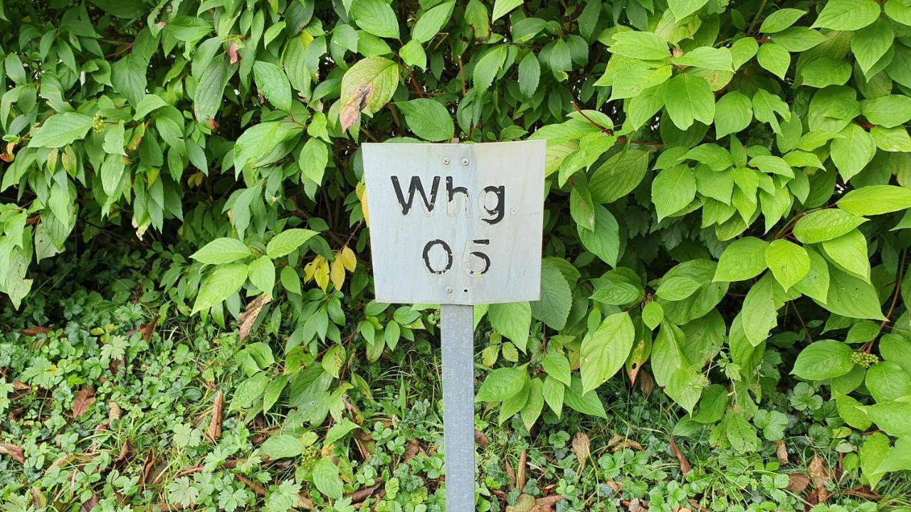 Ferienwohnung Fuer 5 Personen In Wasserburg Extérieur photo